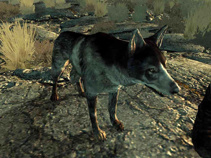 Illustration for article titled It's National Dog Day. Let's Celebrate Gaming's Greatest Canines.